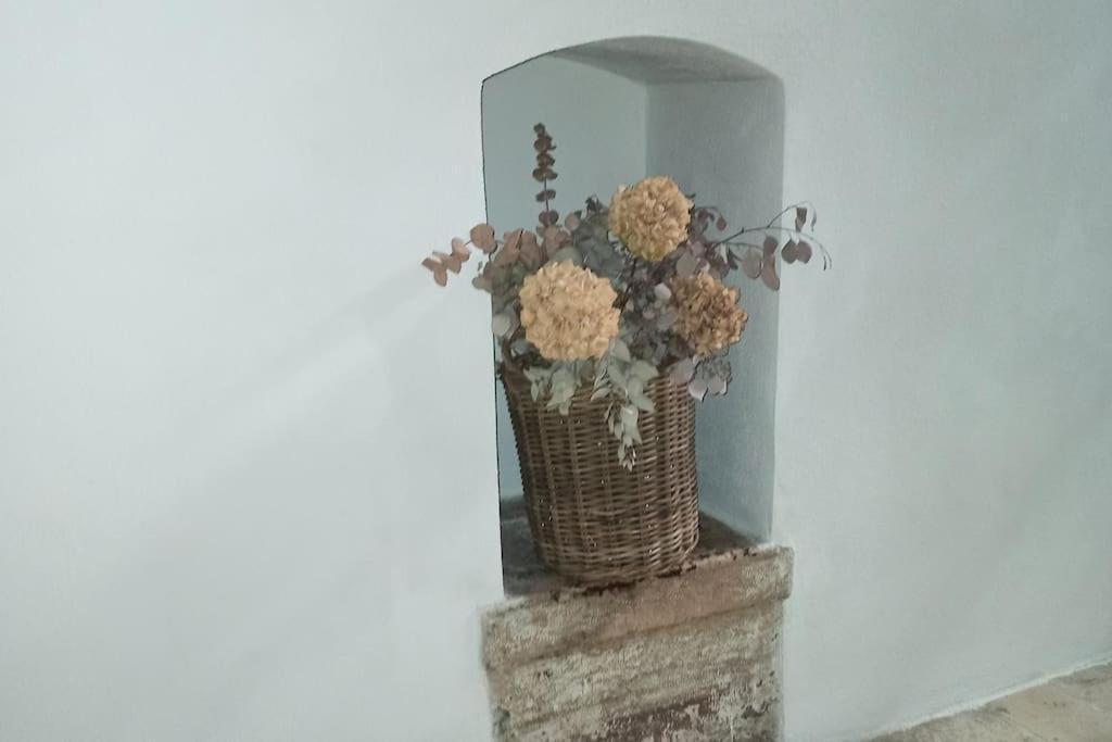 Apartment Bienvenue A Bari